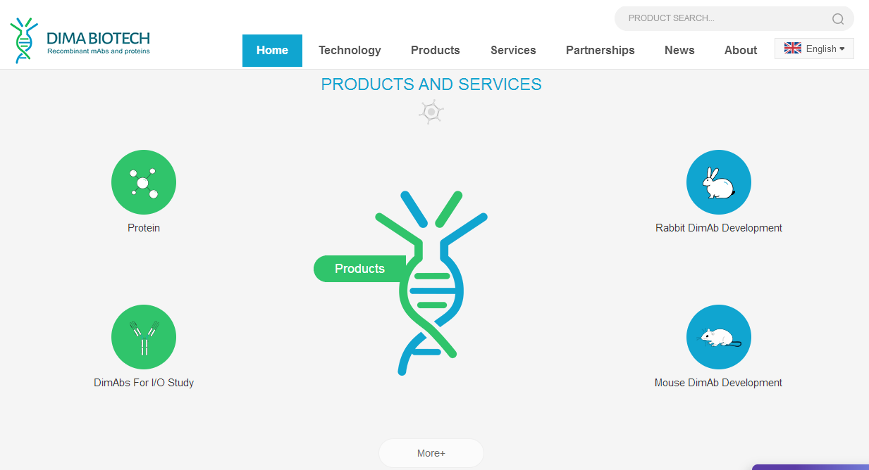 武漢網(wǎng)站建設